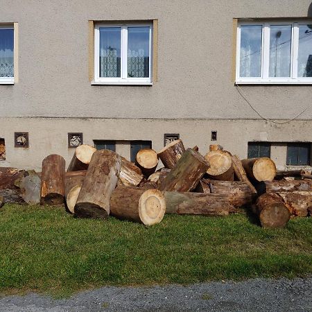 Marta P Apartman Detrichov Nad Bystrici Kültér fotó