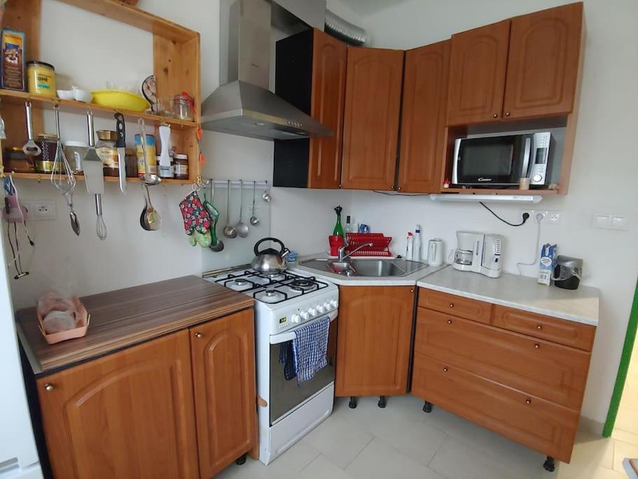 Marta P Apartman Detrichov Nad Bystrici Kültér fotó