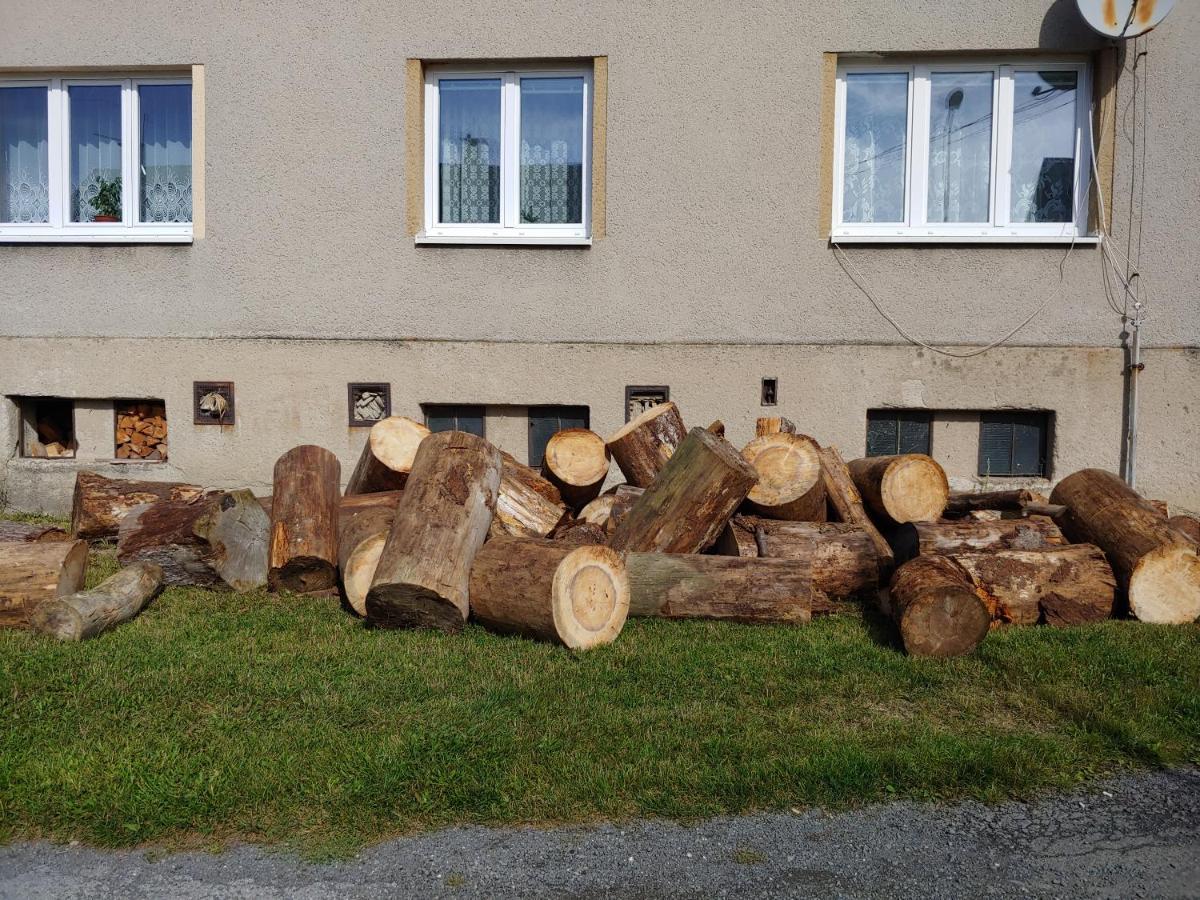 Marta P Apartman Detrichov Nad Bystrici Kültér fotó